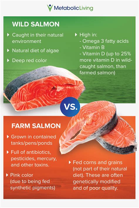 Is farm raised salmon bad for you. Things To Know About Is farm raised salmon bad for you. 